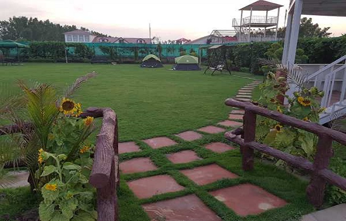 Best catering services in Delhi, catering Services in Delhi
